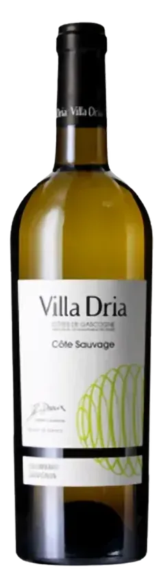 Côte Sauvage • Safra 2024 • Branco Seco
