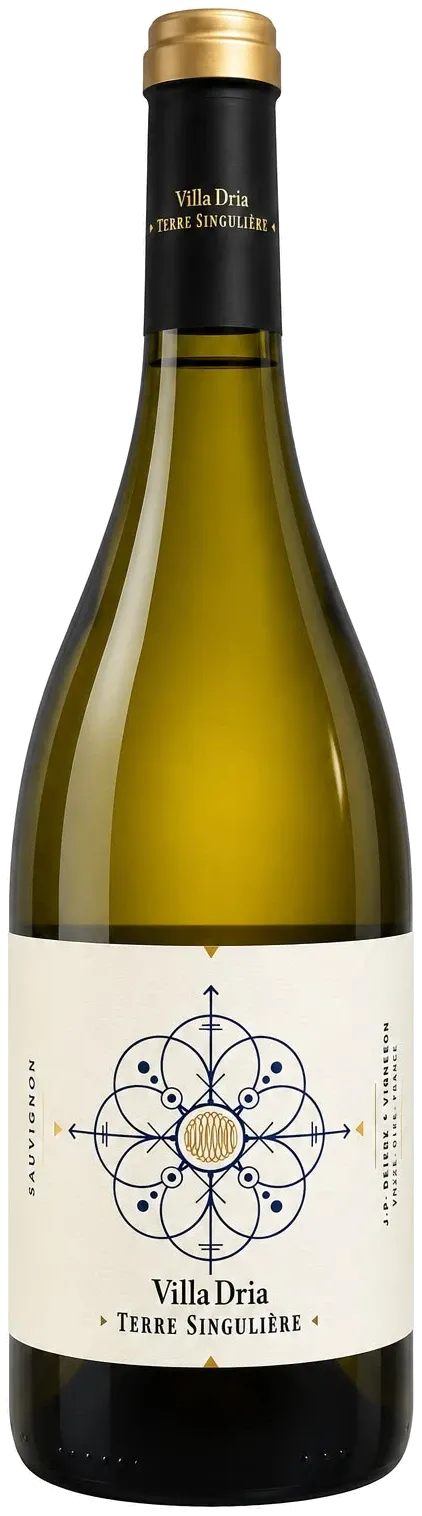 Terre Singulière Sauvignon • Safra 2022 • Branco Seco