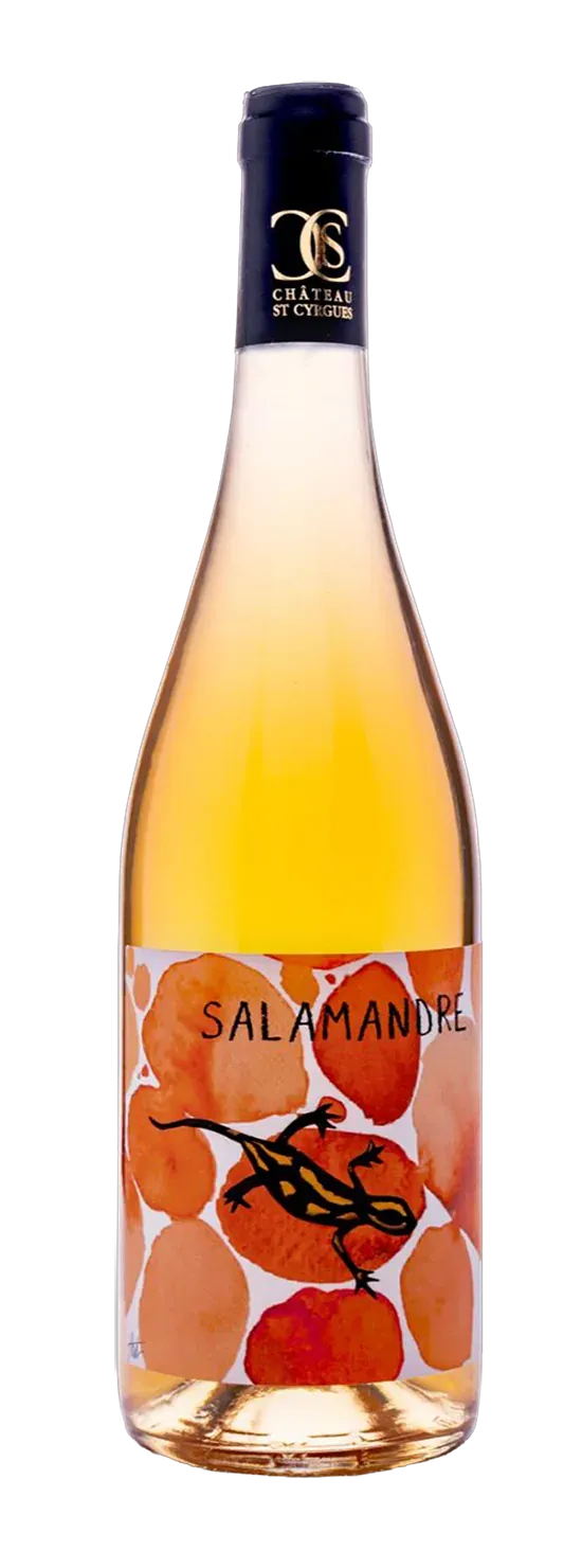 Salamandre Orange • Safra 2025 • Laranja Seco • Orgânico