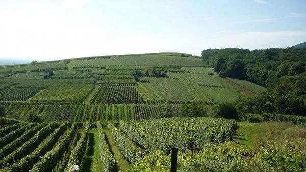 Domaine André Ehrhart et Fils, em foto publicada pela própria vinícola