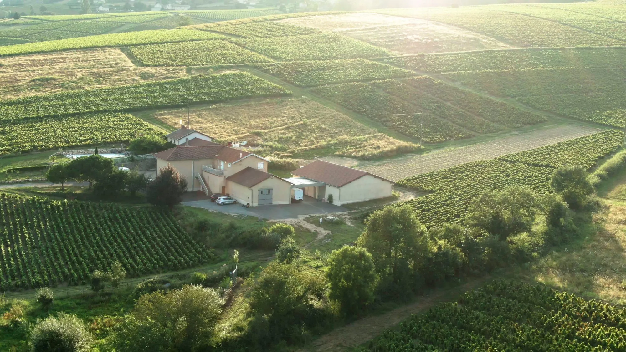 Domaine Franck Chavy, em foto publicada pela própria vinícola