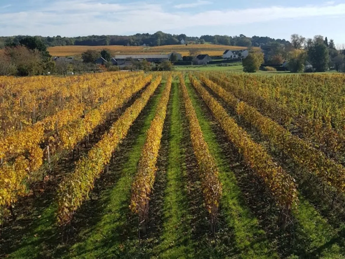 Domaine Roillus, em foto publicada pela própria vinícola